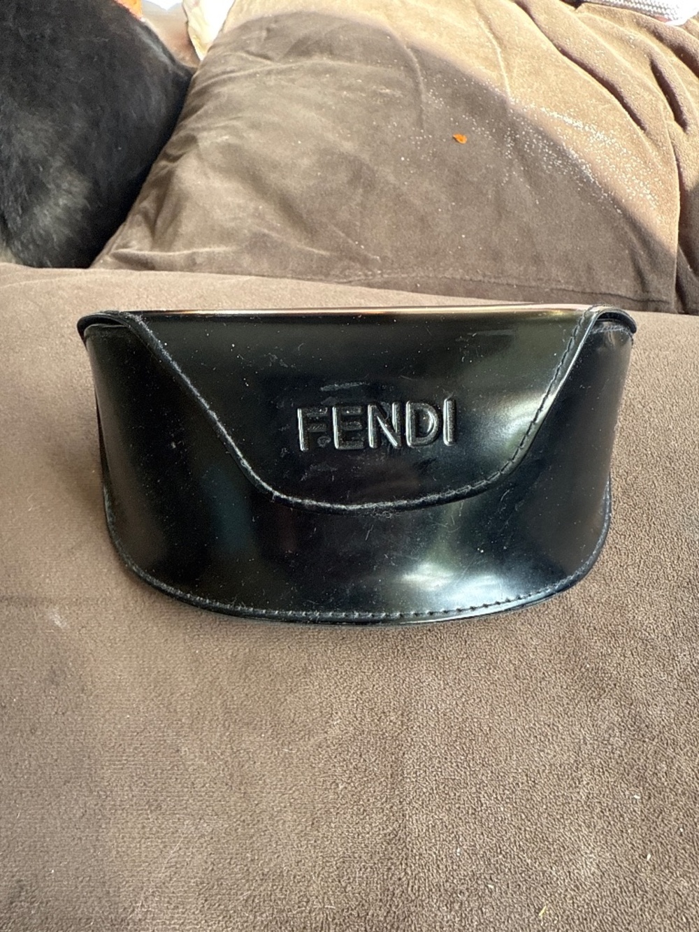 Fendi case